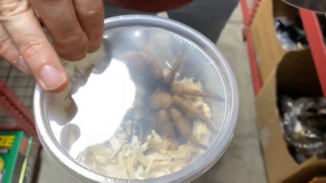 Low Maintenance Animals смотреть онлайн