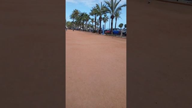 Средневековый рыбный рынок Лорет де мар смотреть онлайн