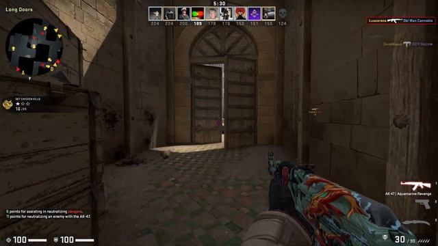 CSGO AK-47 Aquamarine Revenge Well Worn Requested by Viewer смотреть онлайн