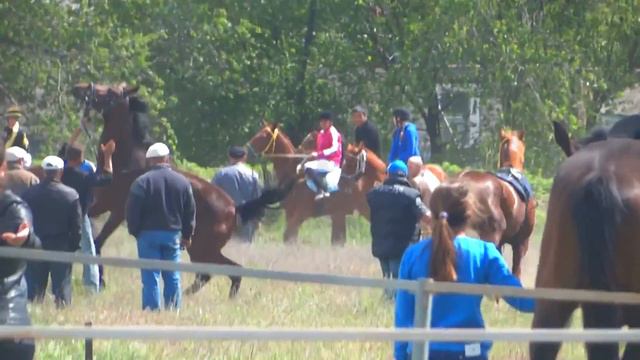 Конно-спортивные соревнования смотреть онлайн