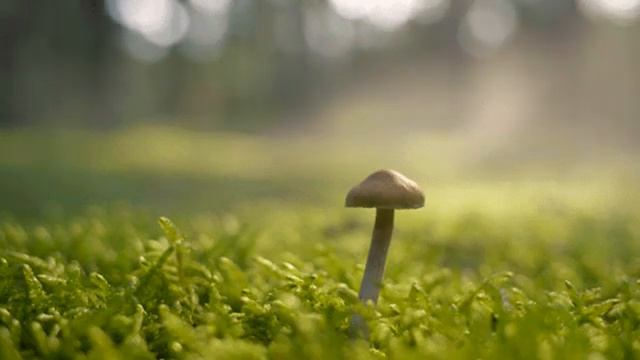 Очень расслабляющая музыка для быстрого сна и медитации смотреть онлайн