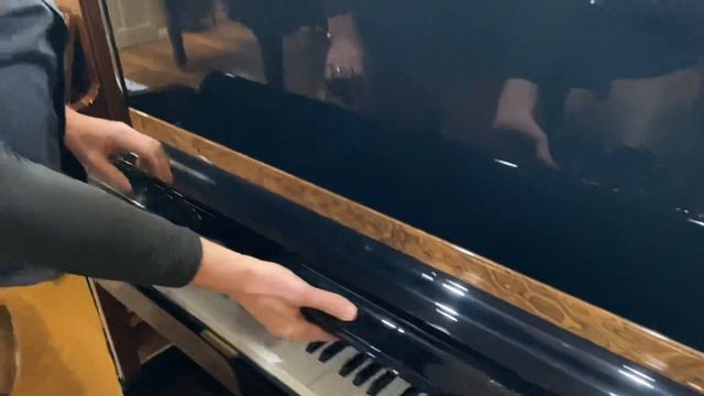 Beautiful 1997 Petrof смотреть онлайн