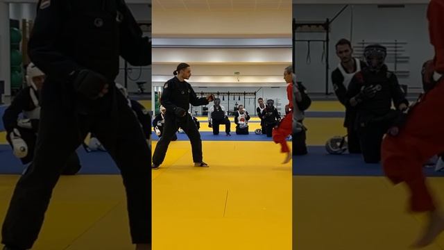 Int/Adv Sparring Combinations by Hwa Rang Do® Grandmaster Taejoon Lee смотреть онлайн