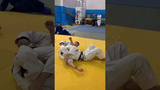 Семинар по дзюдо г.Павлодар 11-13 декабря 2021. Часть 2, ORTUS.KZ смотреть онлайн