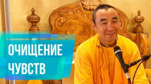 2024.06.19 - Очищение чувств. ШБ 9.19.4. Е. С. Даяван Свами