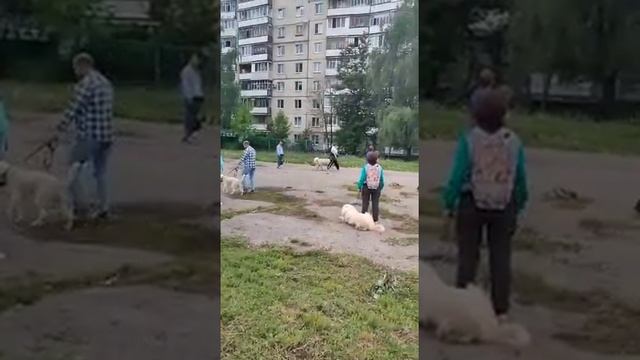 Вырабатываем спокойствие ? смотреть онлайн