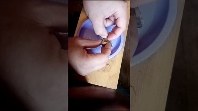 Варенье из дикой сливы, различия. #кухня смотреть онлайн