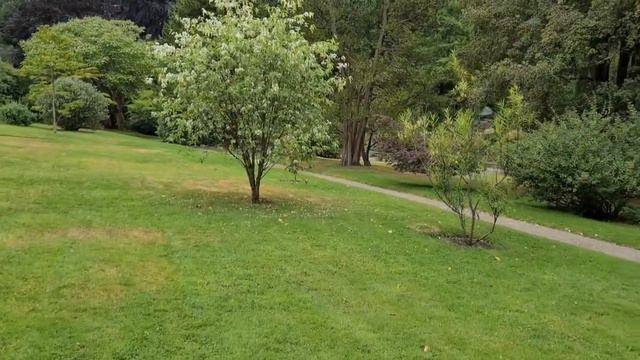 Plant tour of Pen Rhyn castle north Wales смотреть онлайн
