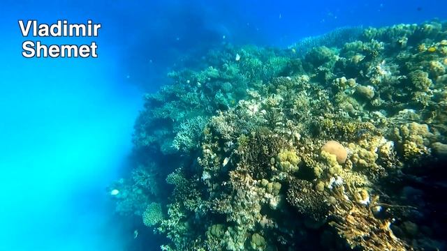 Египет 2023. Самый крутой коралловый риф в Хургаде. Отдых в Египте. Красное море смотреть онлайн