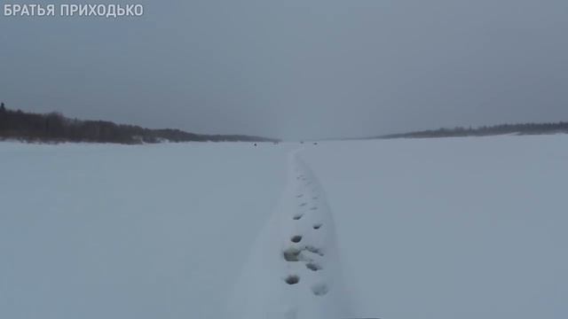 ПОЕЗДКА НА ДАЛЬНИЙ КОРДОН / РЫБАЛКА С НОЧЕВКОЙ смотреть онлайн