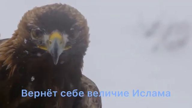 Размышлять о смерти - значит размышлять о свободе. Кто научился умирать, тот разучился быть рабом. смотреть онлайн