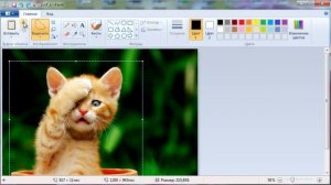 Как работать в программе Paint урок № 1