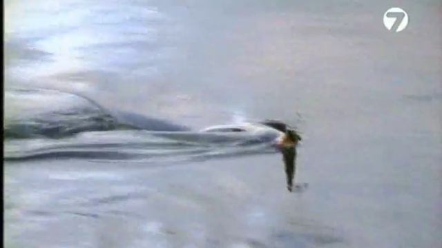 Диалоги о рыбалке №27. Рыбалка тайменя в Сибири смотреть онлайн