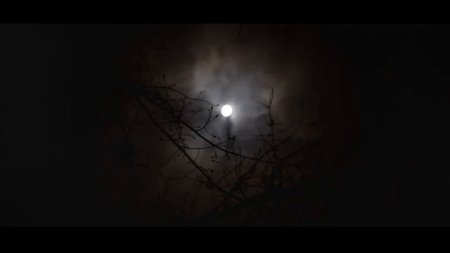 ДЕРЕВЕНСКОЕ ПУГАЛО... Страшные истории от Гробовщика. Истории на ночь. Фильмы Ужаcов. Хоррор смотреть онлайн