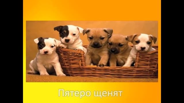Числительное смотреть онлайн