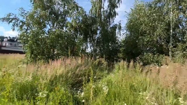 Участок 15 соток. С. Дмитровское, Красногорский район, Московская область смотреть онлайн