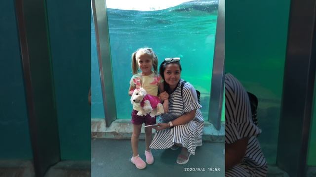 Zoopark Nürnberg. Зоопарк в Нюрнберге. смотреть онлайн