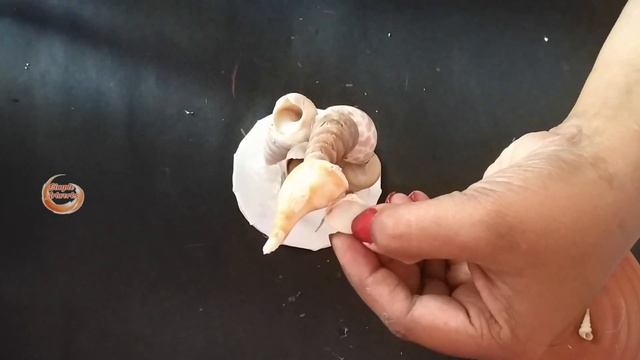 DIY | How to make Animals with Seashells | Giraffe | Frog | Simple Artworks