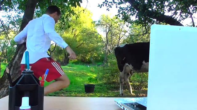 Вайн "Понты дороже денег" смотреть онлайн