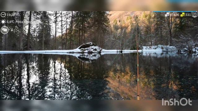 My Fishing World Усач обыкновенный ловим одного за другим