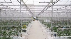 Производство и установка теплиц из поликарбоната как бизнес