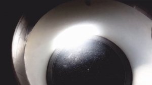 Креветка Амано. Что нужно для разведения