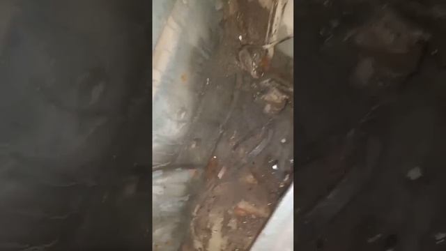 Кулинарное Вдохновение