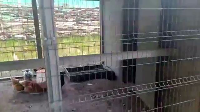 Завоз песка, супеси, разработка участка смотреть онлайн