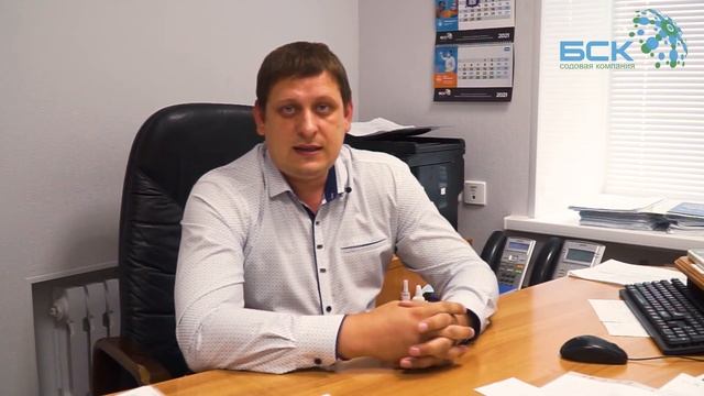 Наставничество в БСК смотреть онлайн