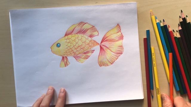 Как нарисовать золотую рыбку цветными карандашами. Рисуем вместе с Наталкой Барвинок #урок_рисовани смотреть онлайн