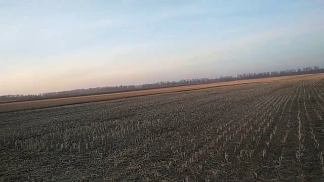 14.11.21 Вносимо КАС під кукурудзу 2022 смотреть онлайн