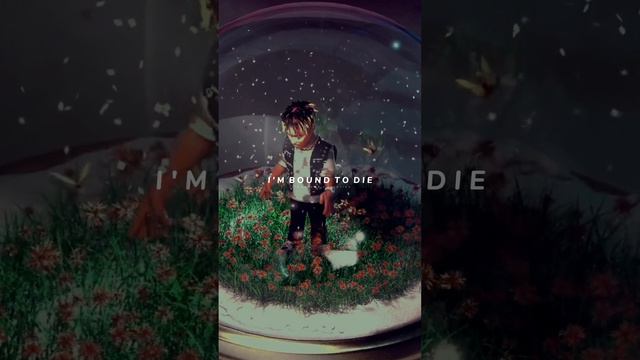 Juice wrld whatsapp status full screen | Juice wrld smile og whatsapp status | Juice wrld edit смотреть онлайн