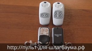 Копирование пультов для шлагбаумов и ворот R1 и CAME TOP при помощи пульта брелка D1