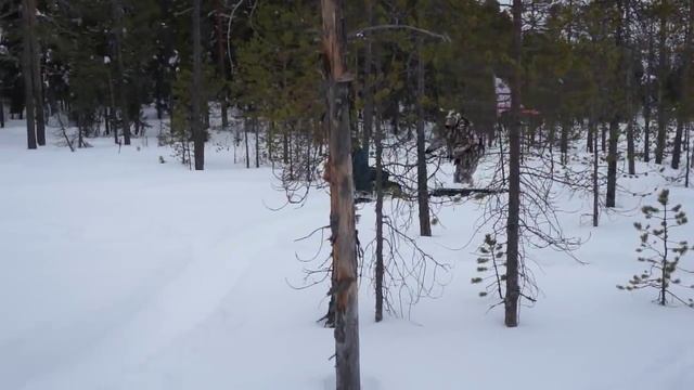 мотособака паксус , paxus 500 9л.с смотреть онлайн