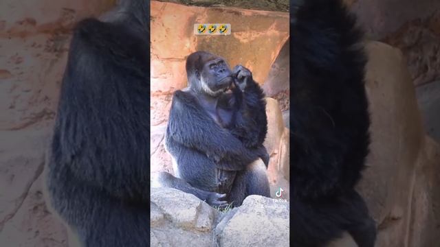 Пора смотреть онлайн