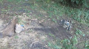 Самодельный поджиг