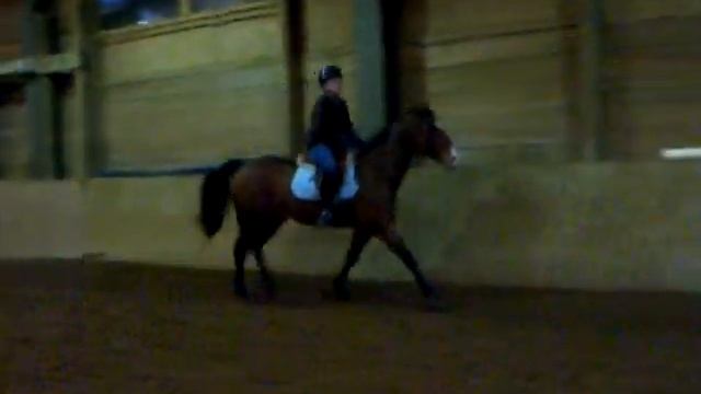 Platinum Stables - Candy beginner trot jump on circle lesson смотреть онлайн