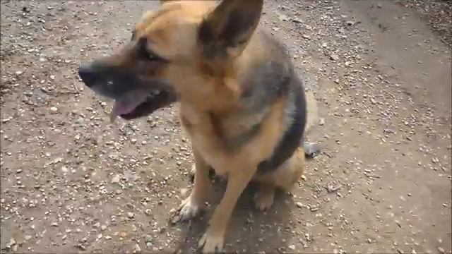 Rozene Okt16 смотреть онлайн