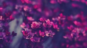 Успокаивающая музыка для снятия стресса. Расслабление для медитации и сна