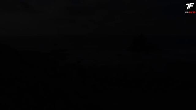 Такое Редко Увидишь! Эти Видео Повезло Снять на Камеру смотреть онлайн