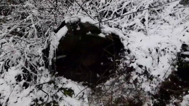 Копаем металл пока не замерзла земля. Накопали кучу металла смотреть онлайн