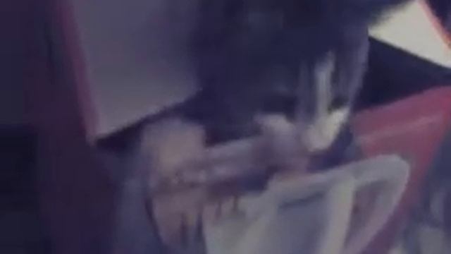 Кот защищает свою коробку как может!))) смотреть онлайн