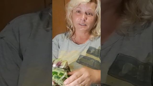 Чистим артишок дальше. смотреть онлайн