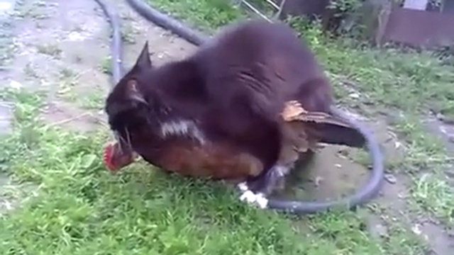 12192566_893281077429078_1812636814_n