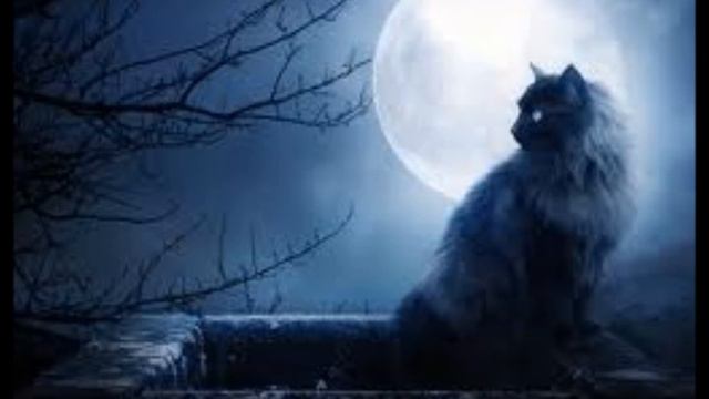 Official song "Lies of the world" by T.K.(TheKilla) смотреть онлайн