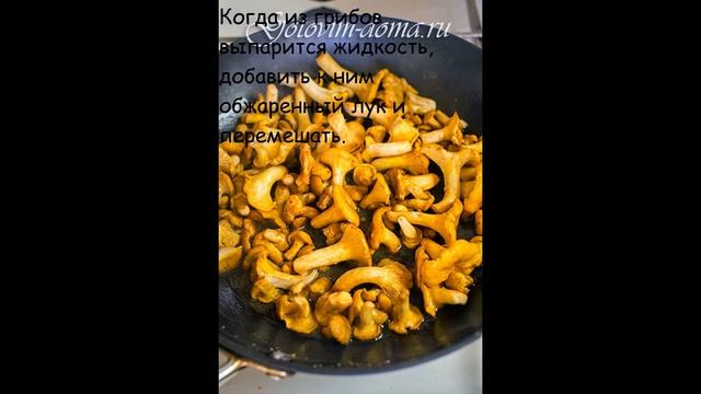 Наука и Исследования