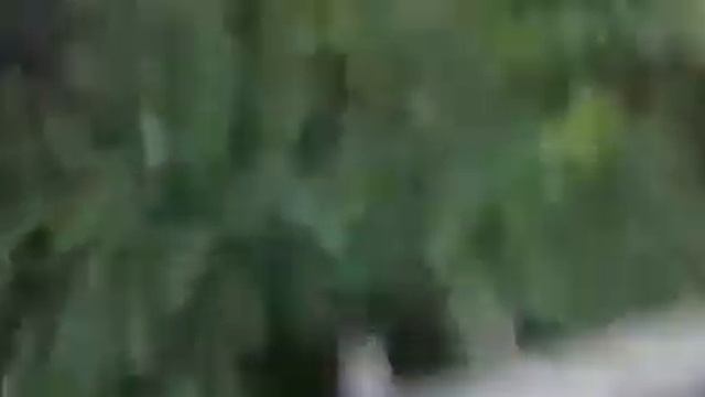 Прыжок акробата! прикол смотреть онлайн