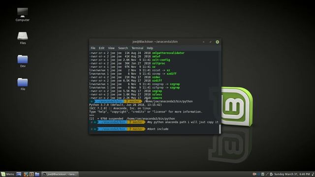 Technology | How to path anaconda python in zsh смотреть онлайн