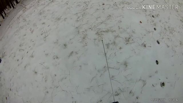 Биорамки. Монета на 01:06:14. смотреть онлайн