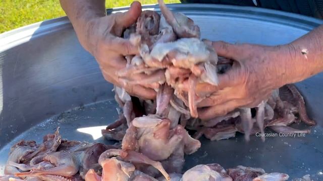 THE MOST PEACEFUL LIFE IN THE WORLD! A UNIQUE WAY TO COOK QUAILS | CAUCASIAN COUNTRY LIFE смотреть онлайн